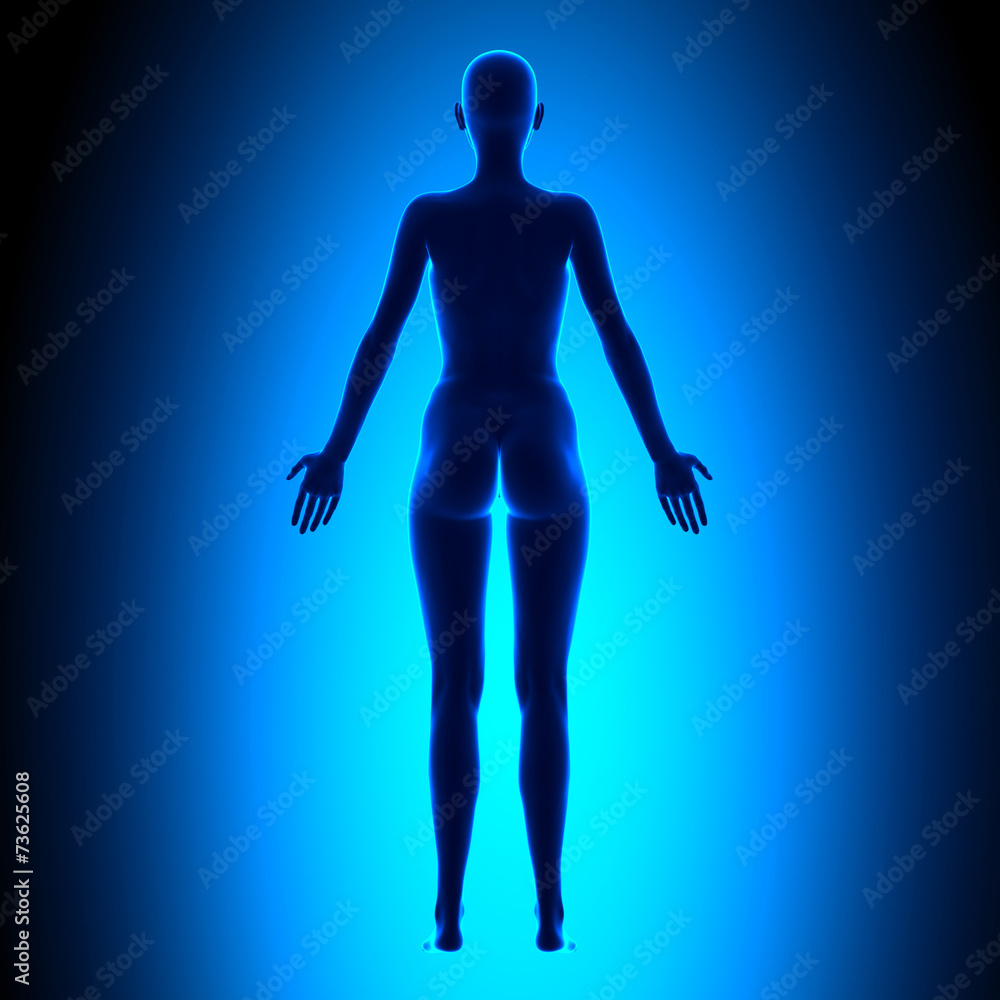 Full Female Body - Back View - Blue concept