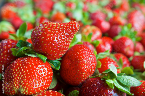 Red ripe fresh strawberries