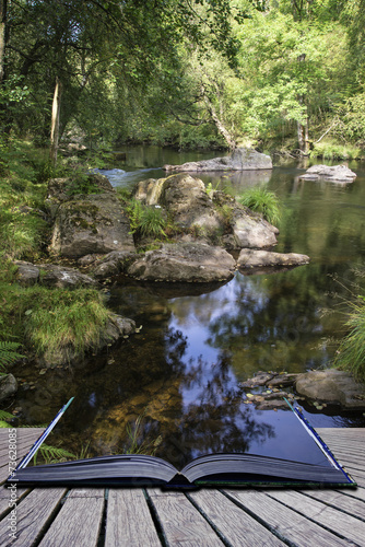 Beautiful stream flowing th...