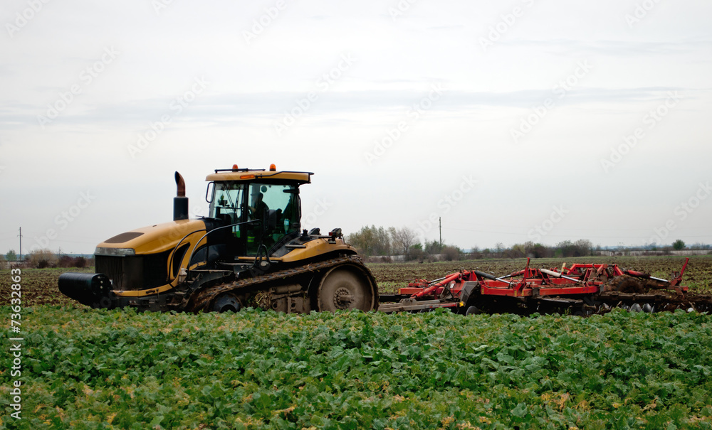 Obraz premium tractor cultivating
