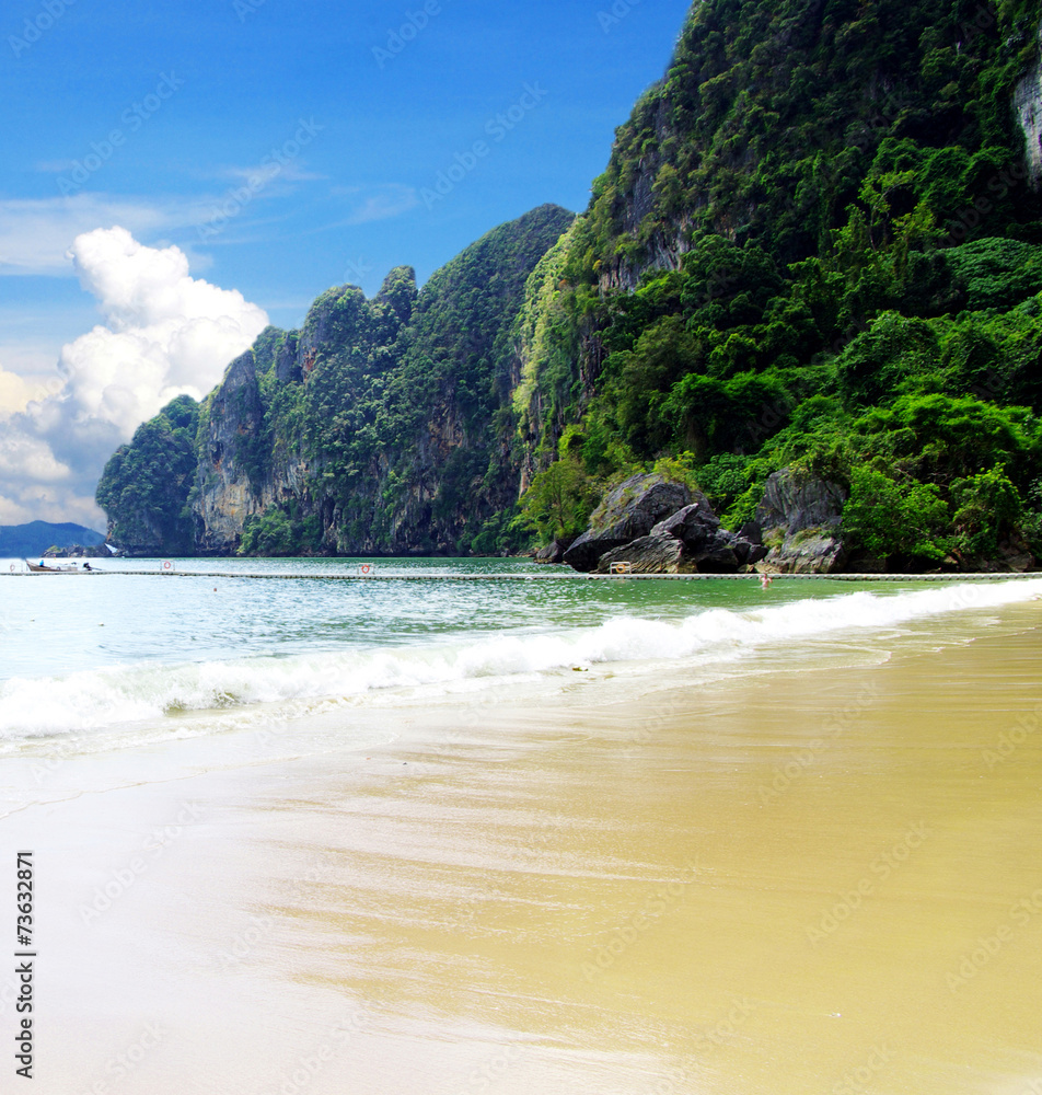 beach and tropical sea