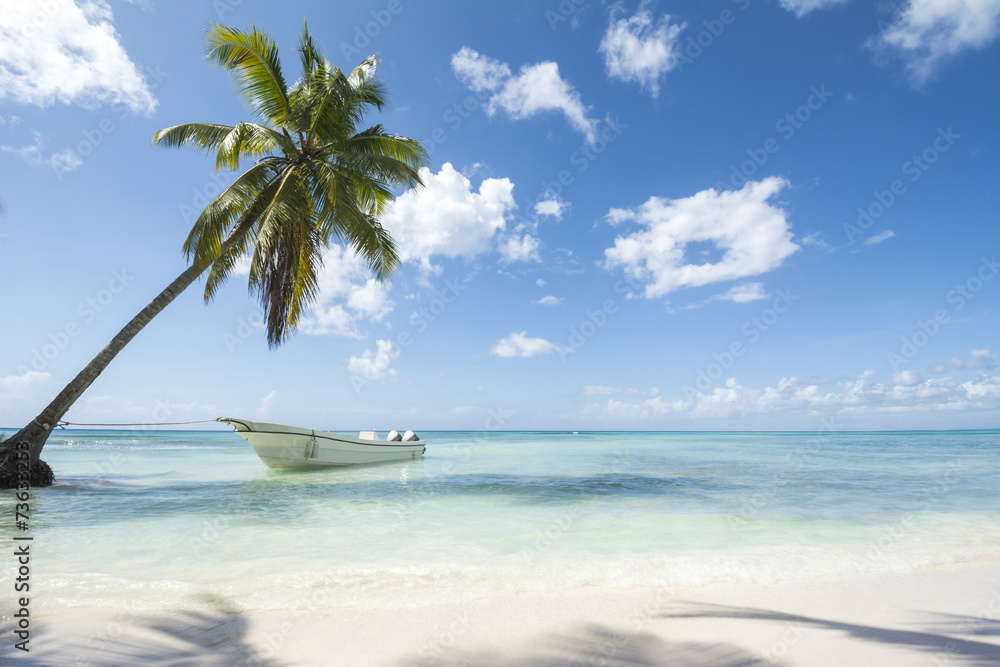 Idealic Caribbean coastline with boat