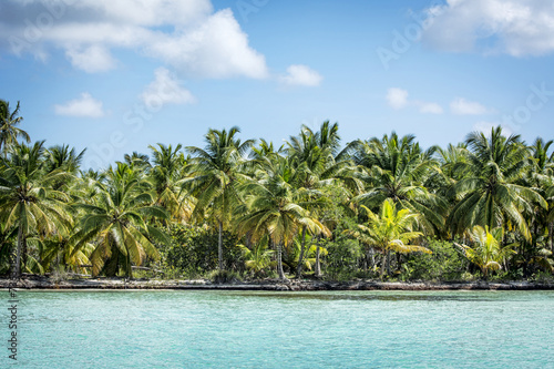 Caribbean coastline © Paul Lampard