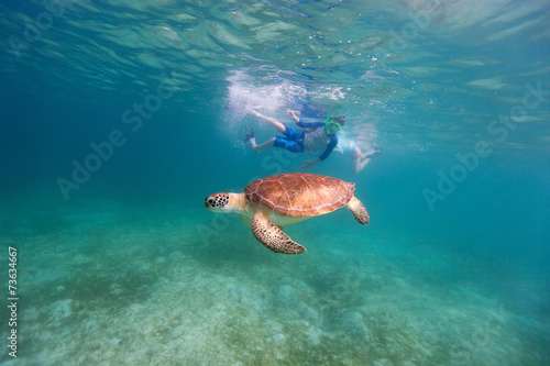 Family snorkeling with sea turtle