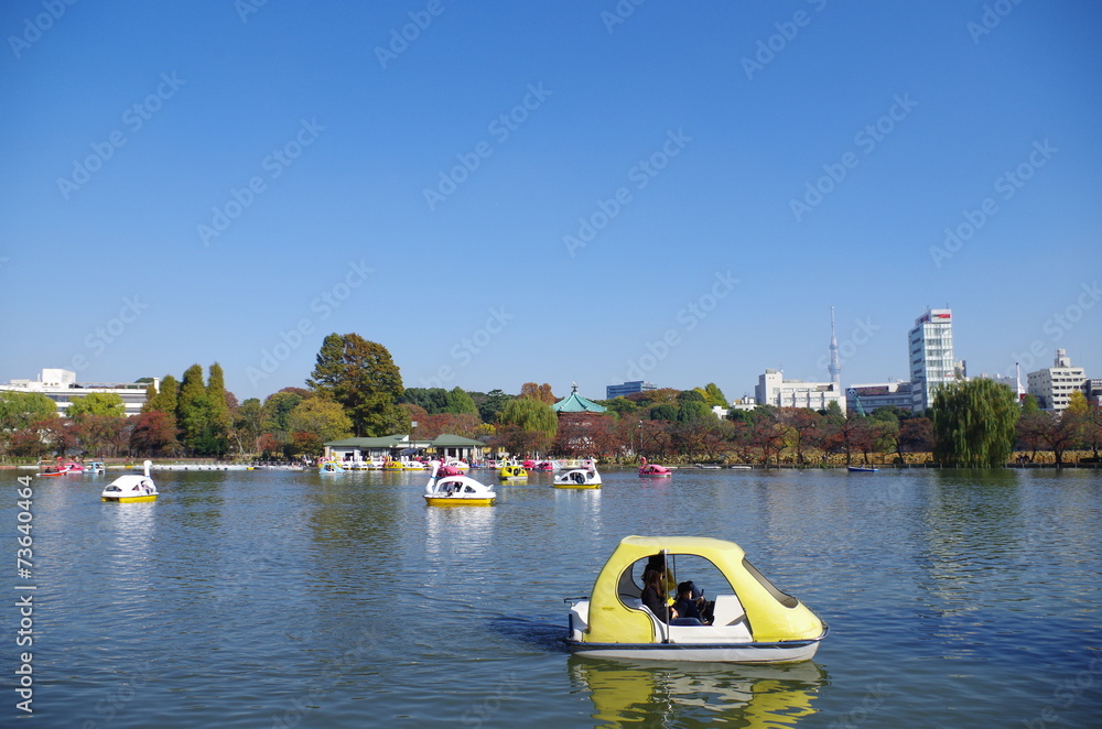 Obraz premium 上野恩賜公園とボート