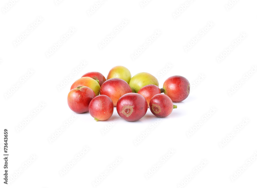 coffee beans isolated on white background coffee beans isolated on white background