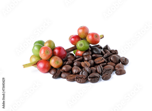 coffee beans and ripe coffee isolated on white background.