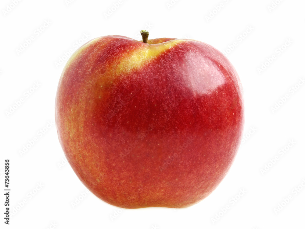 Red apple isolated on a white background Red apple isolated on a white background