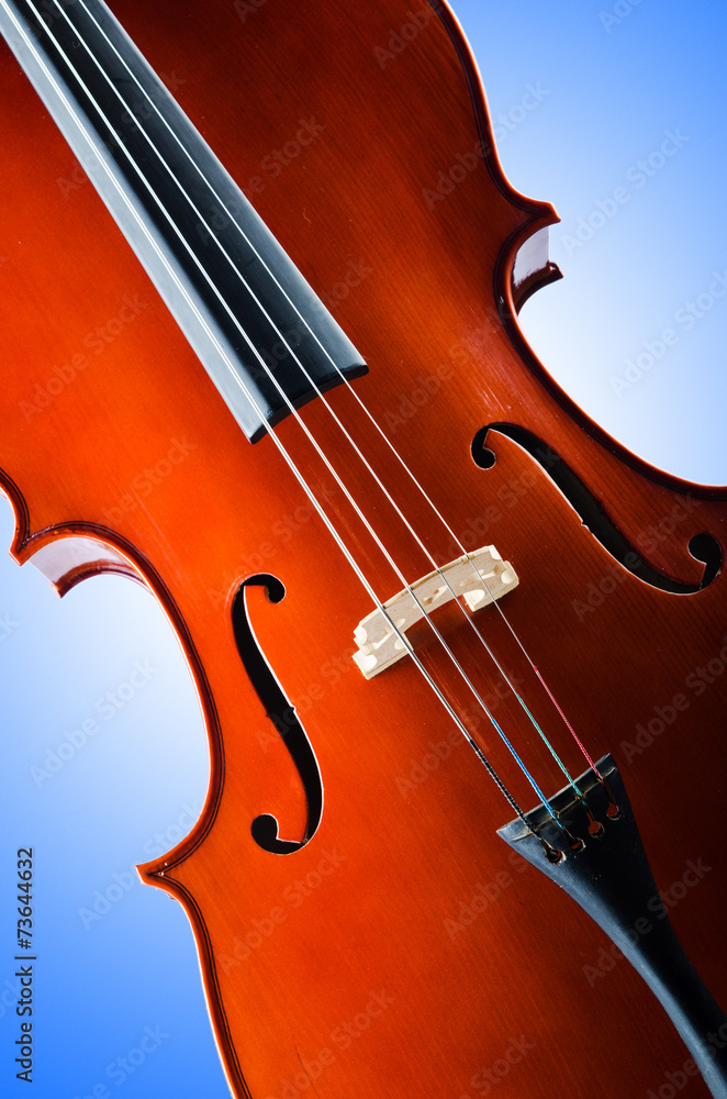 Fototapeta premium Violin isolated on the white background