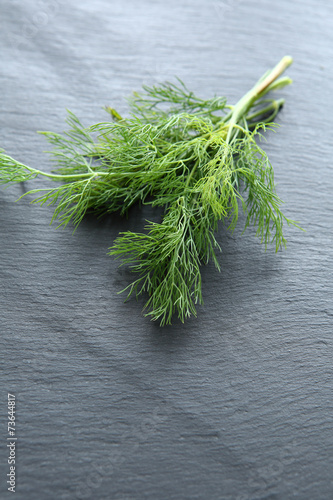 Fresh dill on slate photo