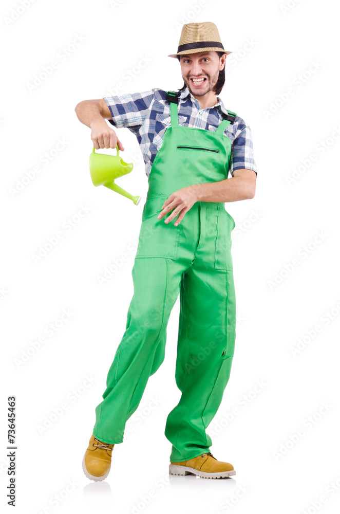 Funny gardener with watering can isolated on white Funny gardener with watering can isolated on white