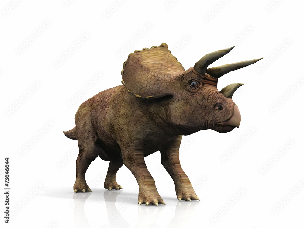 Fototapeta premium Triceratops on a white background