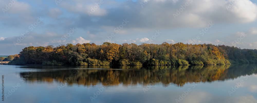 autumn forest and reflection