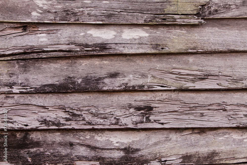 wood texture. wood texture.