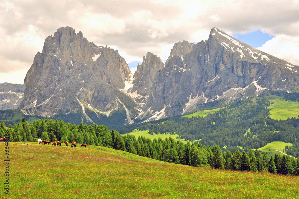 Horses and mountains