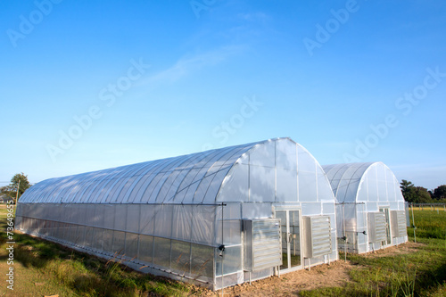 New greenhouses with blue sky
