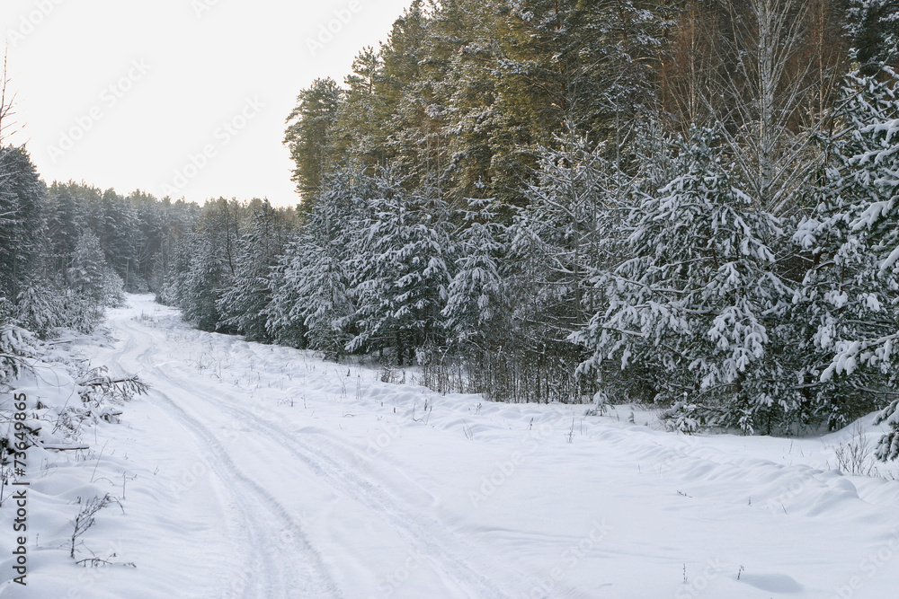 Obraz premium Walk through the beautiful places frosty Russian winter