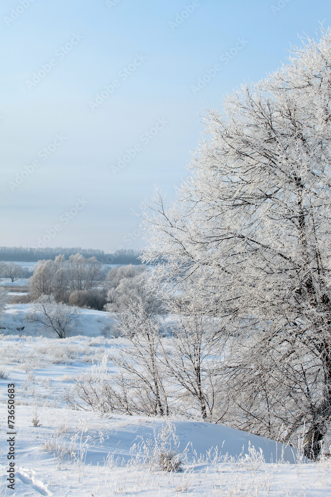 winter day winter day