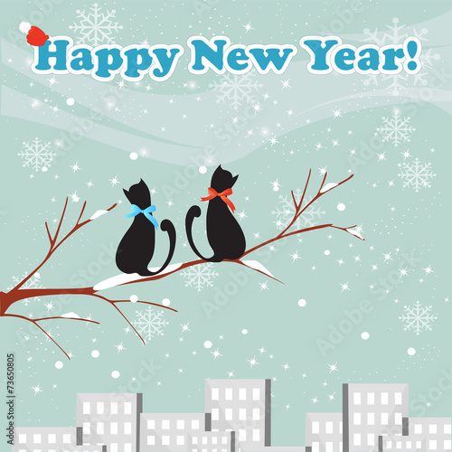 cats new year