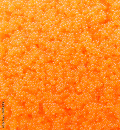 Egg shrimp background