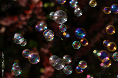 Soap bubbles