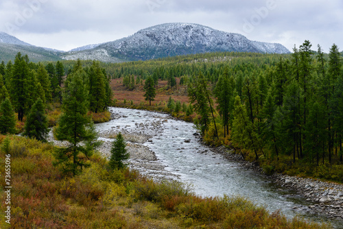 Заснеженная гора и река среди леса