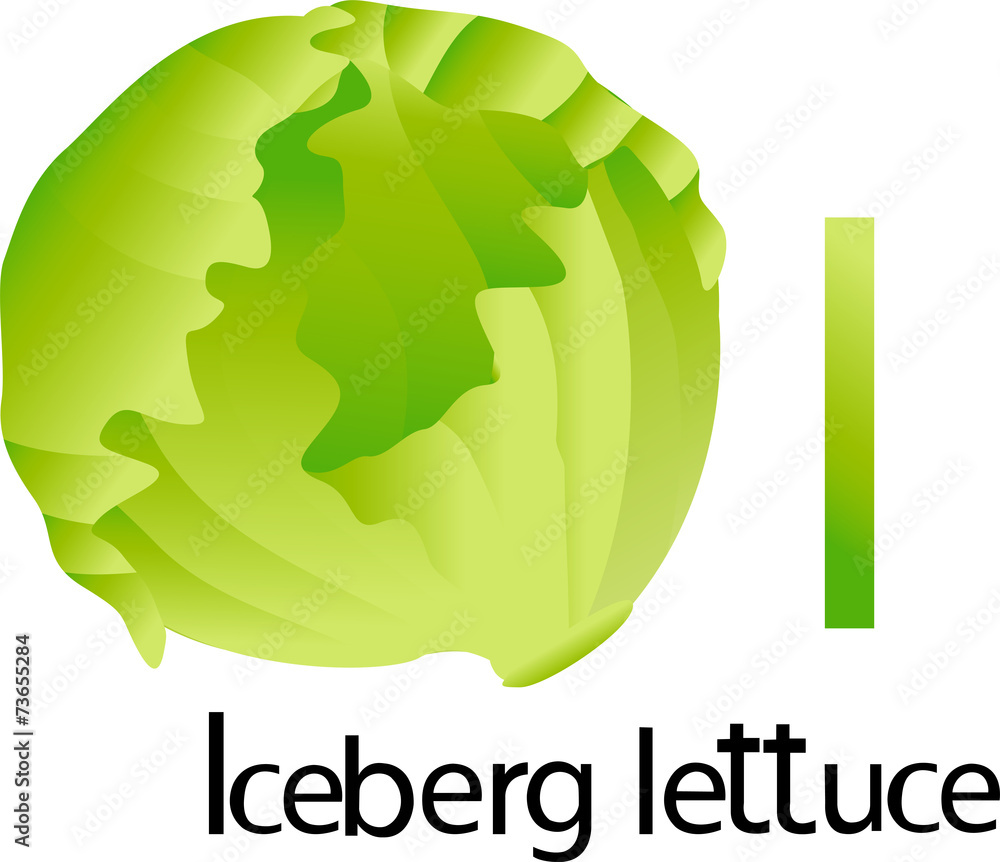 Illustrator i font with iceberg lettuce Stock Vector | Adobe Stock