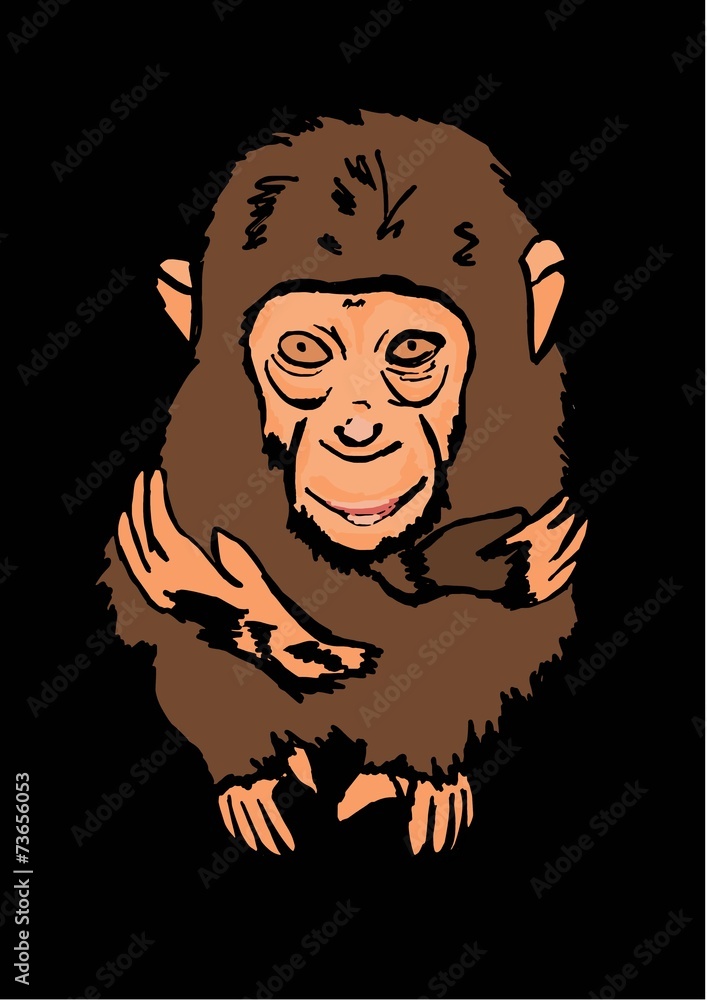 Little monkey Little monkey
