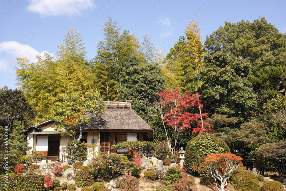 京都 紅葉 等持院 京都 紅葉 等持院