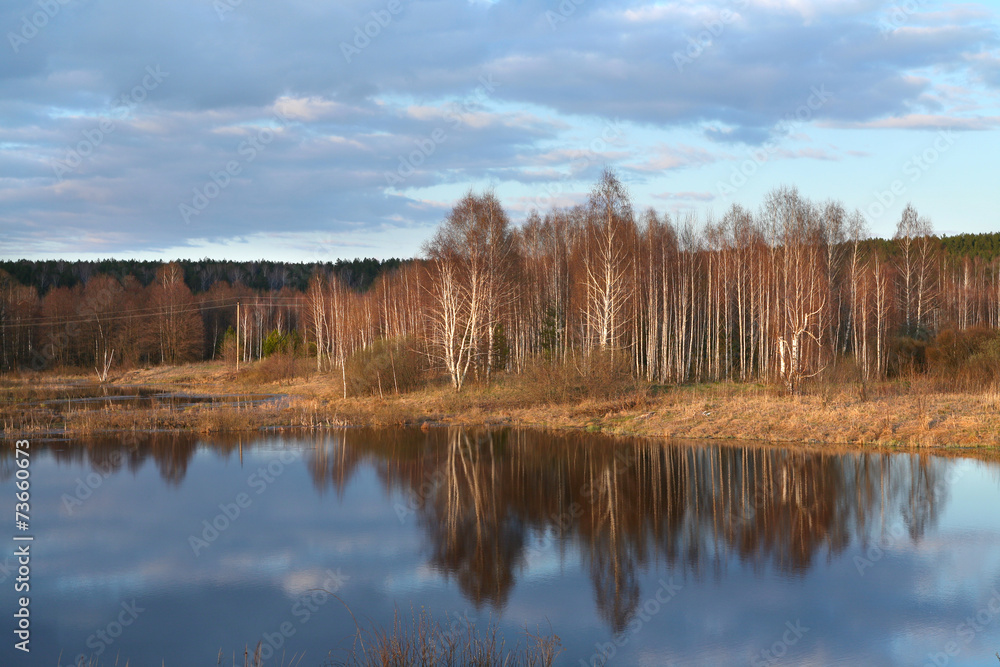 Early spring on the river