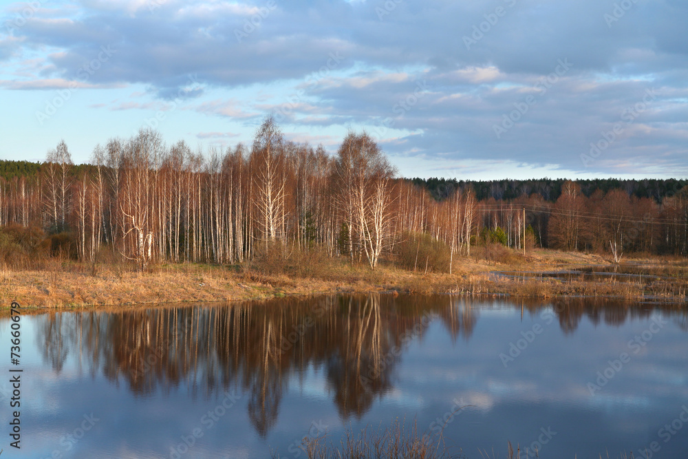 Early spring on the river