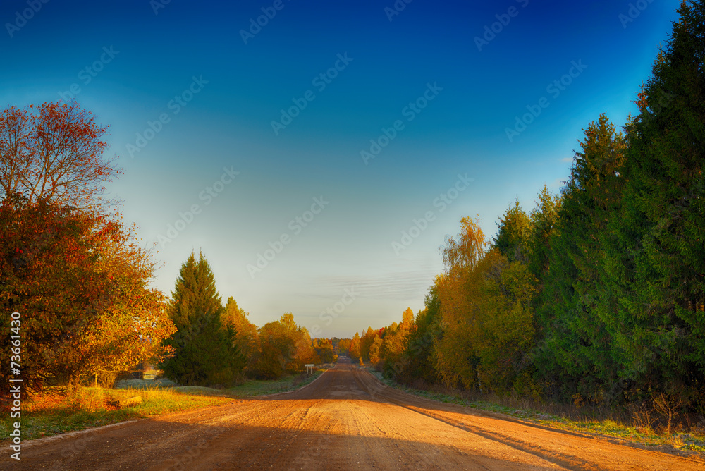 Road in rural district in autumn time