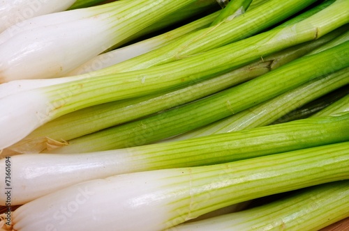 White spring onions © Arena Photo UK