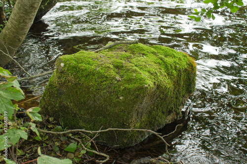 Stein Moos im See