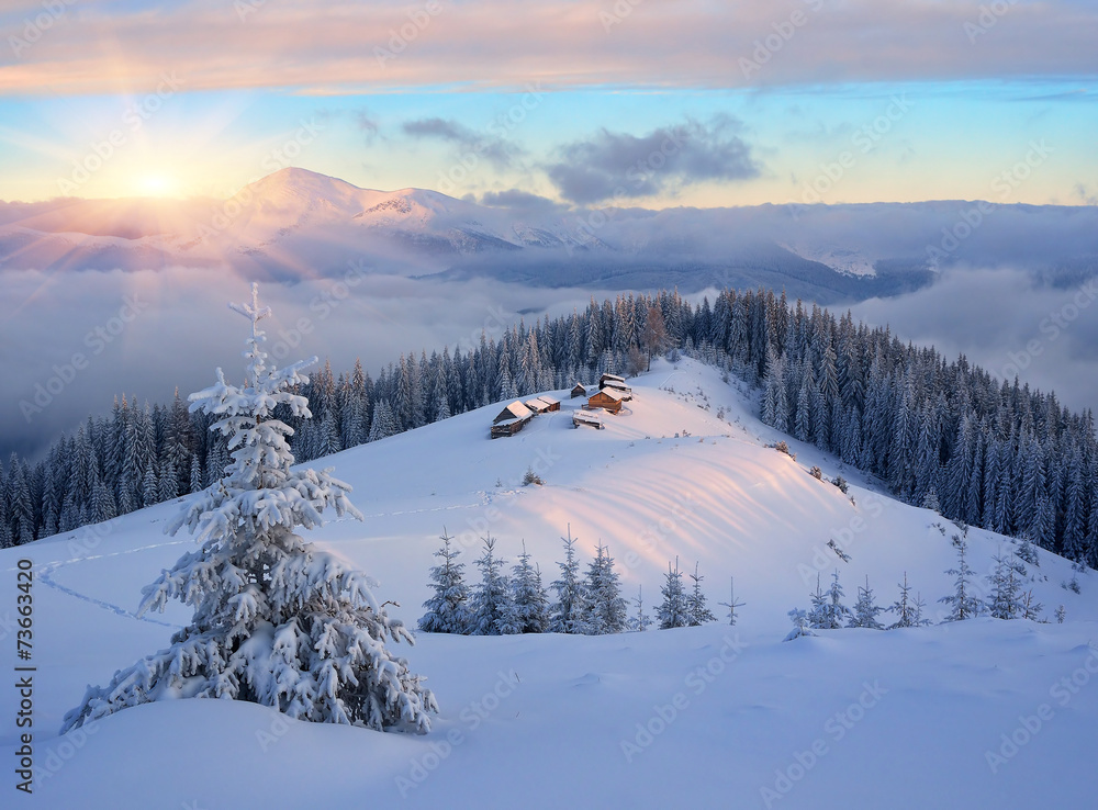 Fabulous winter landscape