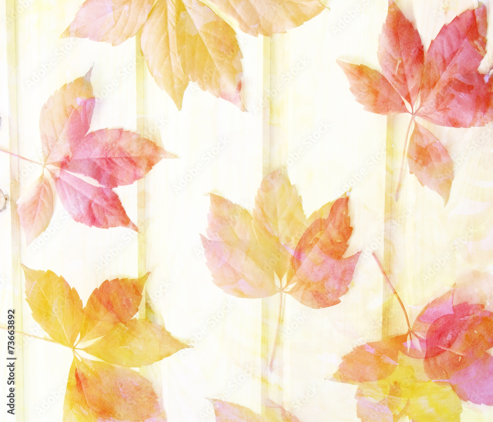 Scenic abstract background with leaves made with color filters,