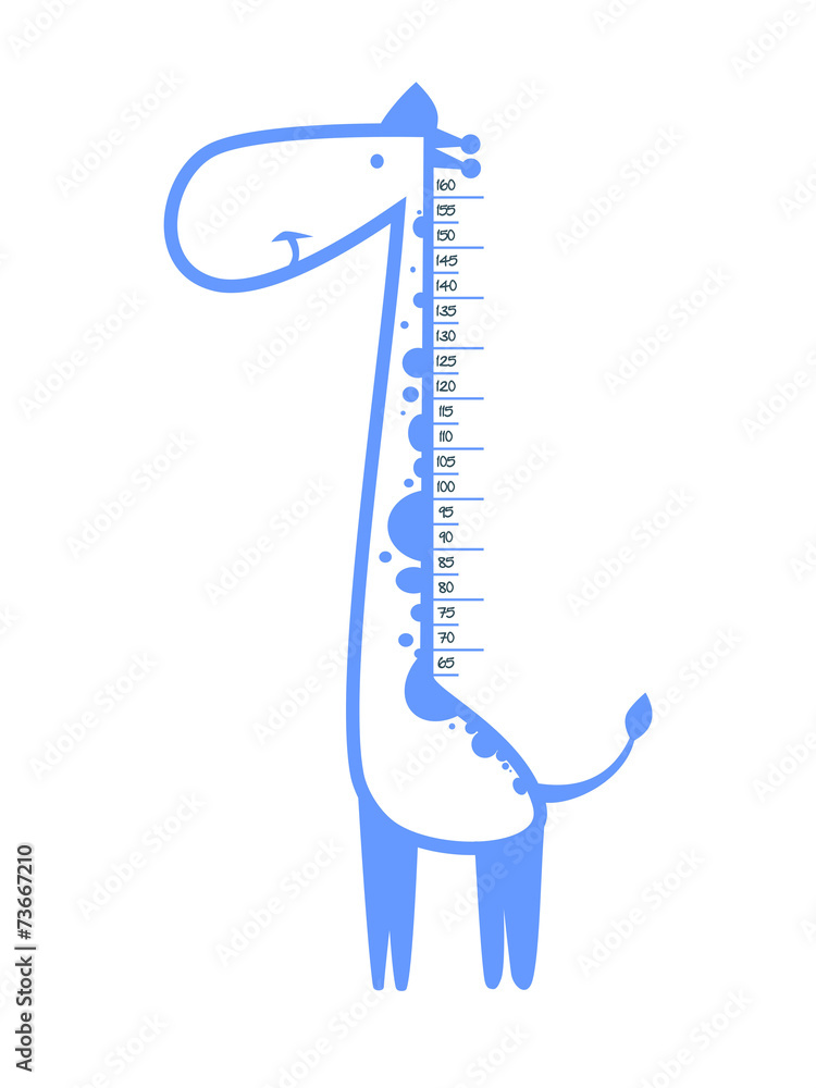 Fototapeta premium Baby height measure with funny giraffe (scale 1:4)