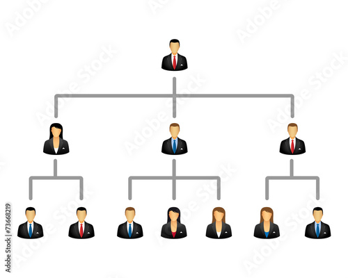 Business hierarchy structure photo