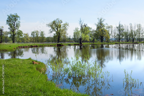 floods in the oak grove