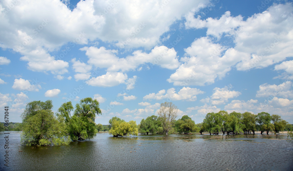 Fototapeta premium spring flood