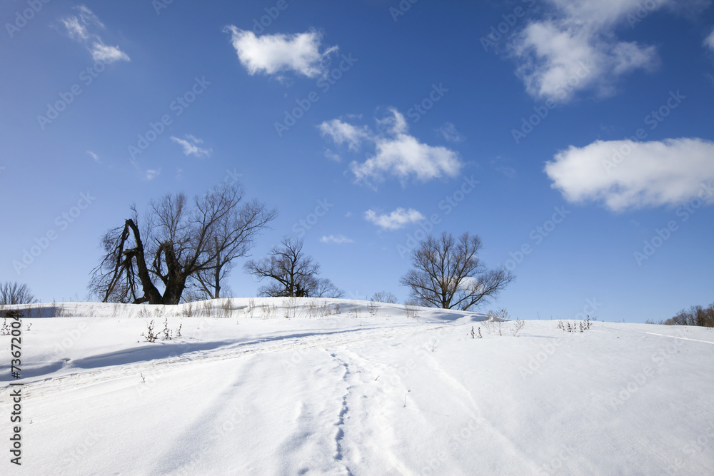 winter sunny landscape