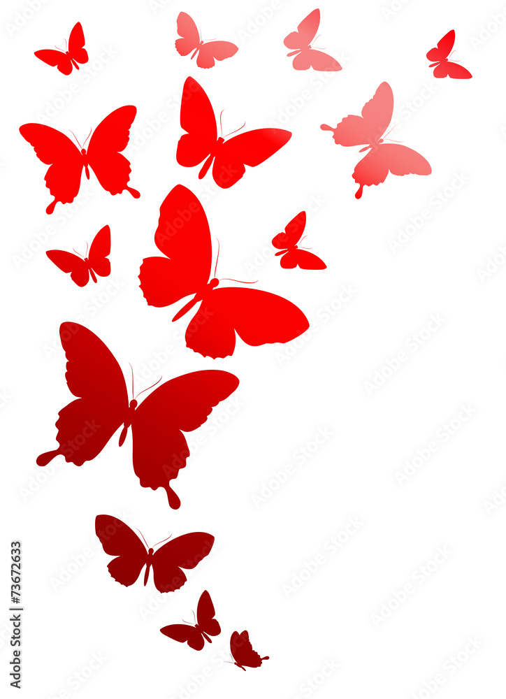 Fototapeta premium butterflies design