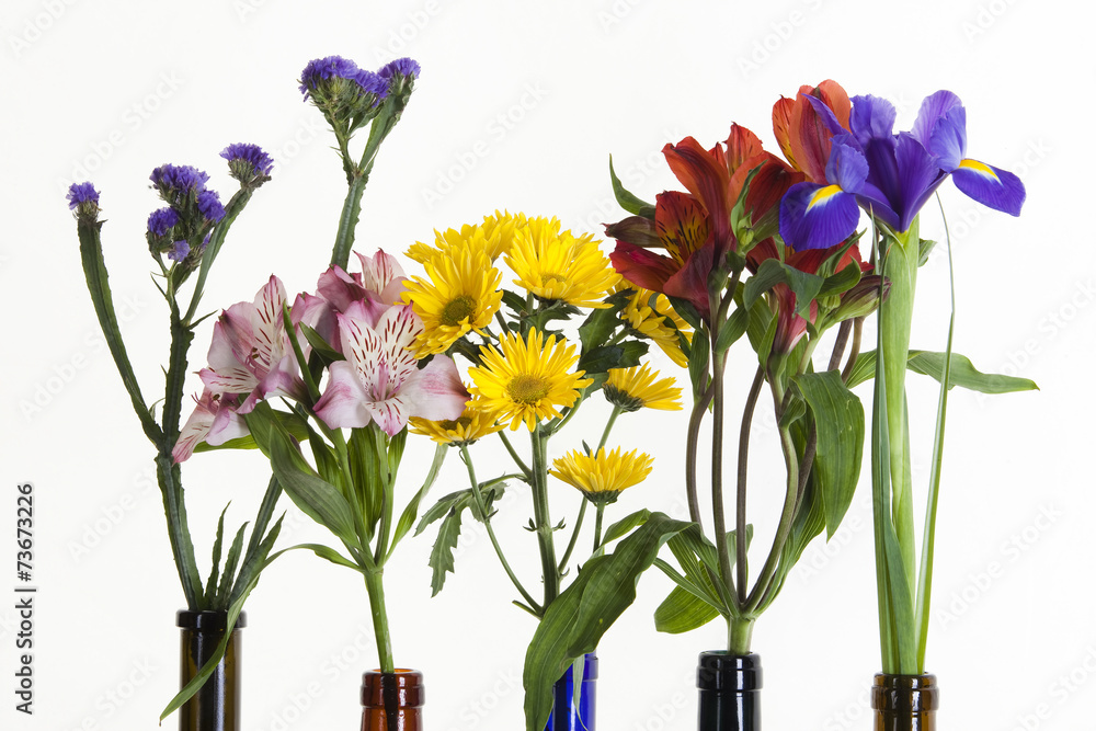 beautiful flowers in colorful bottles beautiful flowers in colorful bottles