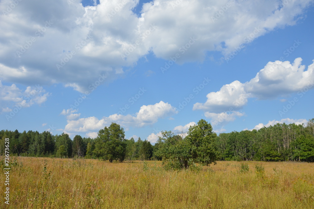 Obraz premium Летний день