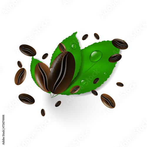 Coffee beans on a white background, green leaves and water drops