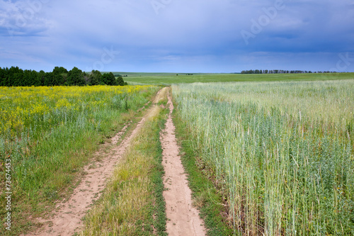 walk in the field