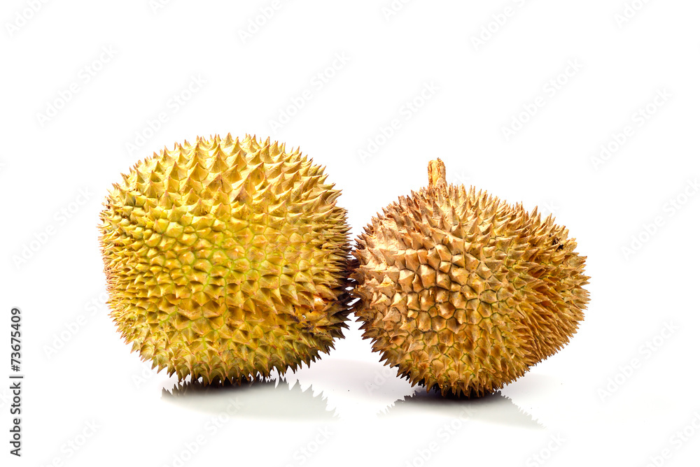 King of fruits, durian isolated on white background King of fruits, durian isolated on white background