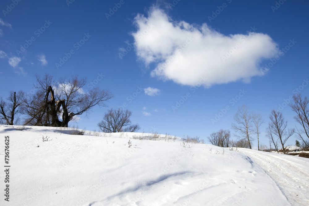 winter sunny landscape