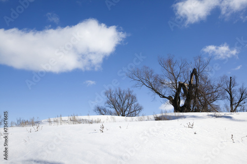 winter sunny landscape © salman2