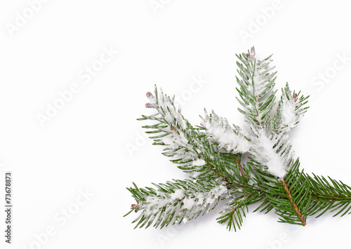 Winter background with snow-covered tree